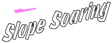 Slope Soaring Logo