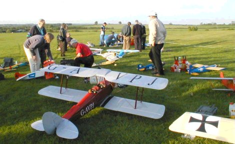 scaleday.jpg (36400 bytes)